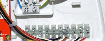 bx ecoblue ter m2.gif